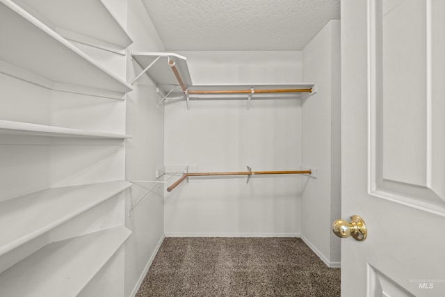 walk in closet featuring dark carpet