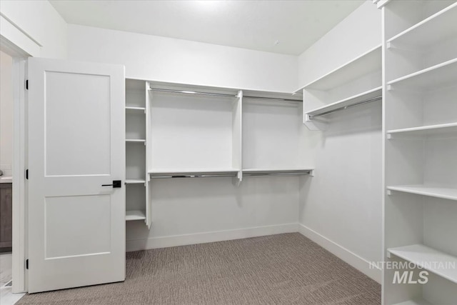 spacious closet featuring light carpet