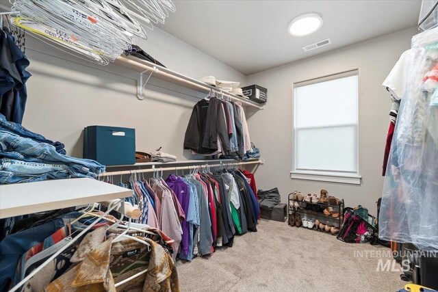 22924 Fargo Rd, Parma, ID 83660 - walk in closet with carpet flooring and visible vents