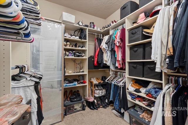 spacious closet featuring carpet flooring