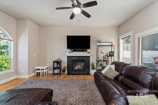 living area with a wealth of natural light, a fireplace, baseboards, and wood finished floors