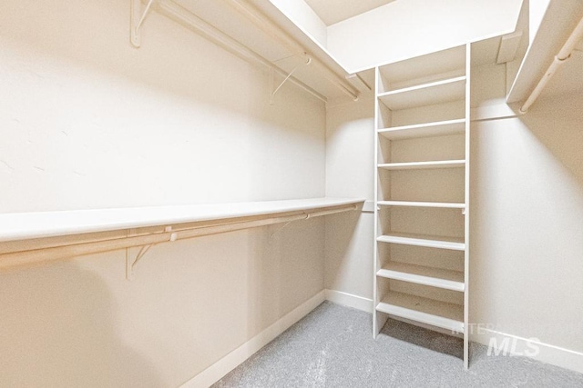 7053 W Butte Ln, Boise, ID 83704 - walk in closet featuring light colored carpet