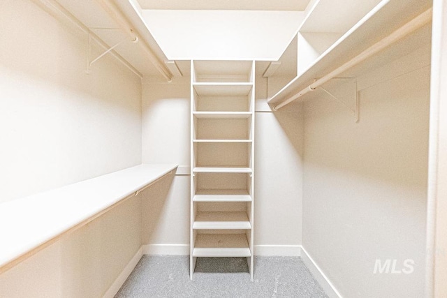 7053 W Butte Ln, Boise, ID 83704 - spacious closet featuring light carpet