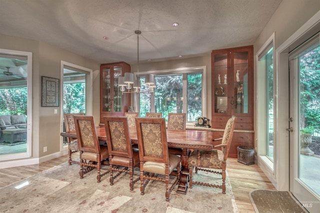 705 N Cobblestone Way, Eagle, ID 83616 - dining room featuring wood finished floors, baseboards, and a textured ceiling