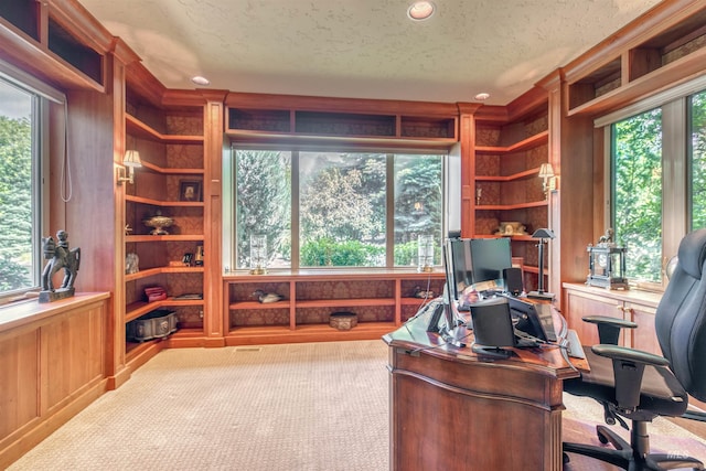 705 N Cobblestone Way, Eagle, ID 83616 - carpeted office with plenty of natural light, a textured ceiling, recessed lighting, and wood walls
