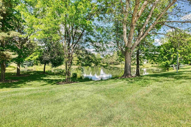 705 N Cobblestone Way, Eagle, ID 83616 - view of grassy yard featuring a water view