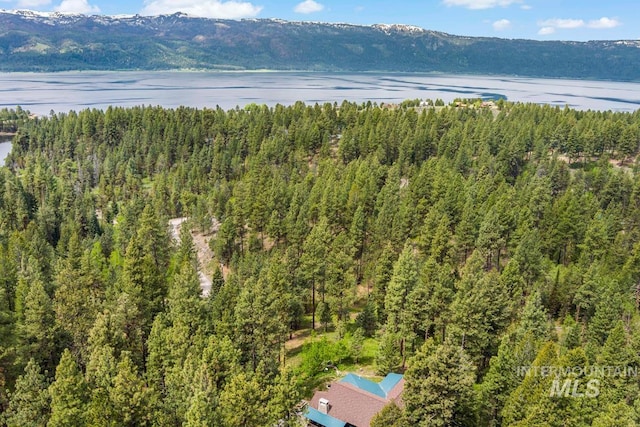 1460 Crown Point Pkwy, Cascade, ID 83611 - bird's eye view featuring a view of trees and a water view