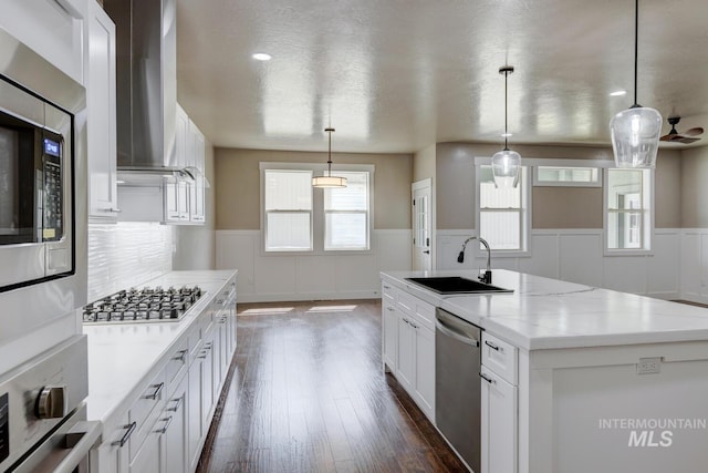 1113 W Blaine Ave, Nampa, ID 83651 - kitchen featuring wall chimney exhaust hood, a sink, dark wood-style flooring, appliances with stainless steel finishes, and a wainscoted wall