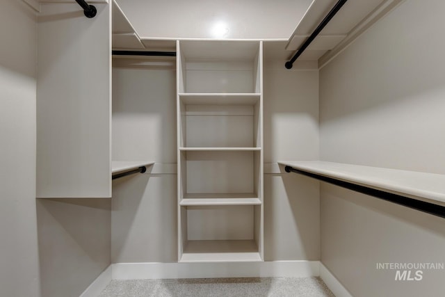 1113 W Blaine Ave, Nampa, ID 83651 - view of walk in closet