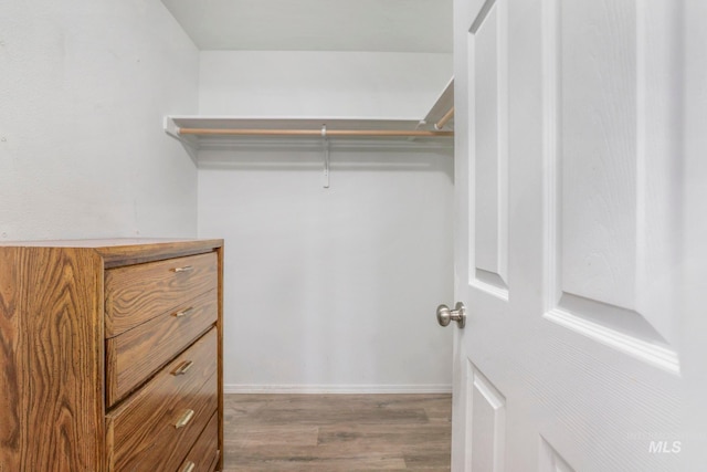 spacious closet featuring wood-type flooring