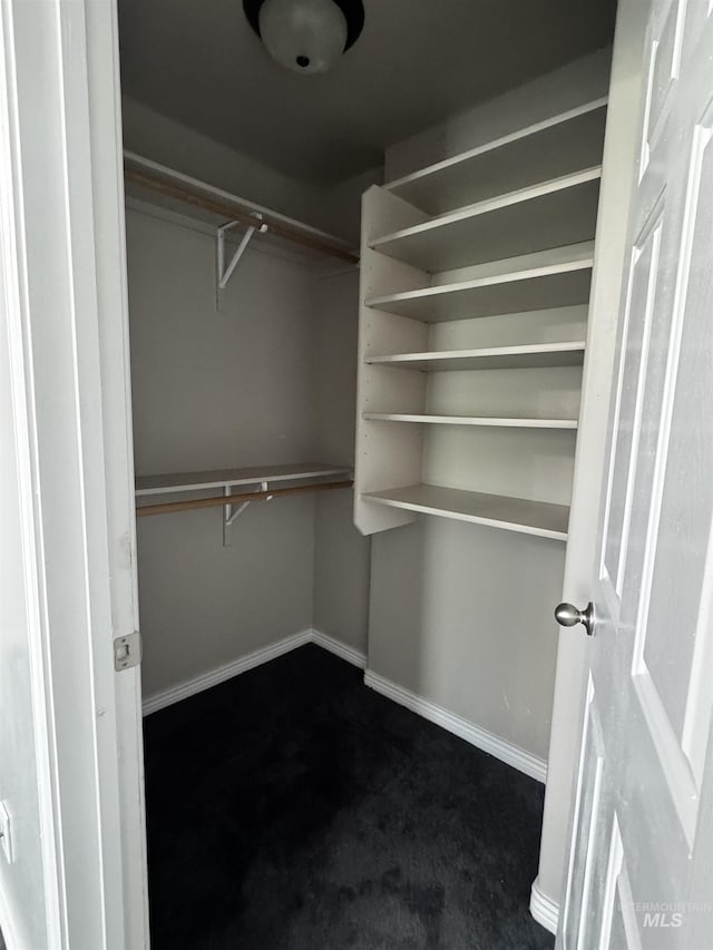 1173 Knoll Ridge Rd, Twin Falls, ID 83301 - walk in closet featuring dark carpet