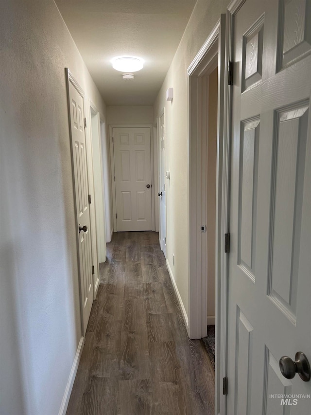 hallway featuring dark hardwood / wood-style flooring