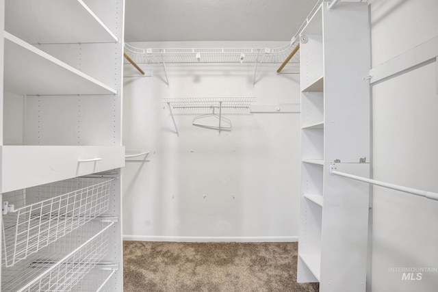 790 Academic Dr, Twin Falls, ID 83301 - spacious closet with carpet flooring