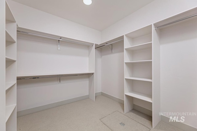 spacious closet with carpet