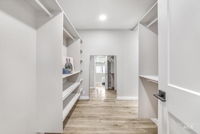 spacious closet featuring wood finished floors