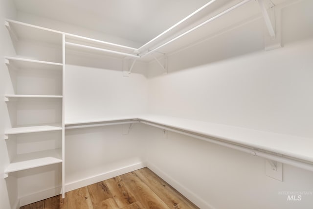 spacious closet with light wood finished floors