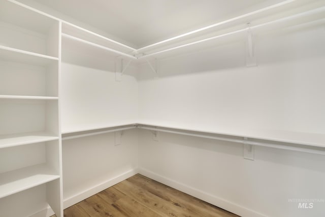 walk in closet with wood finished floors