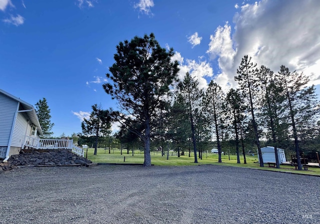 1223 Forest Rd, Winchester, ID 83555 - view of yard