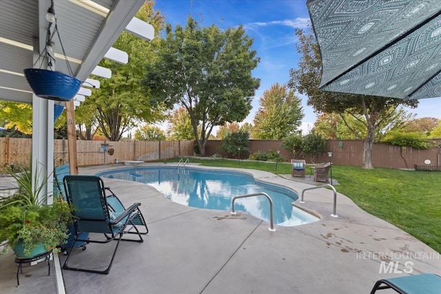 view of pool featuring a diving board, a patio area, and a lawn