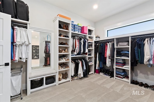 2685 N Fruniz Ave, Eagle, ID 83616 - walk in closet with carpet floors