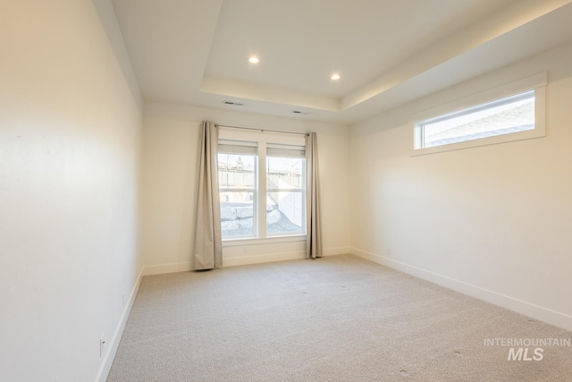 empty room with a wealth of natural light, light colored carpet, and a raised ceiling