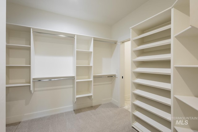 walk in closet with light carpet