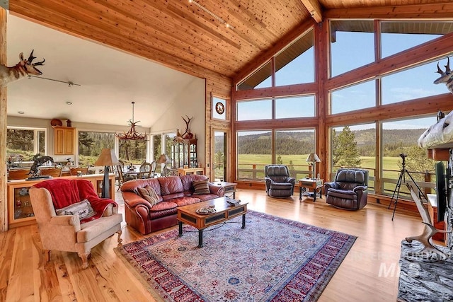 2510 Price Valley Rd, New Meadows, ID 83654 - living area featuring high vaulted ceiling, light wood-style floors, and beamed ceiling