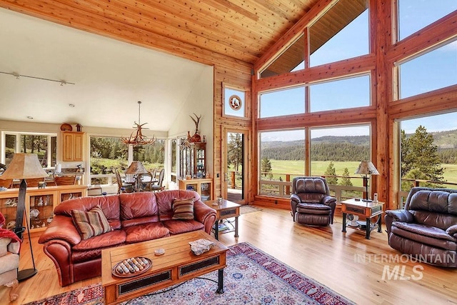 2510 Price Valley Rd, New Meadows, ID 83654 - living room with a mountain view, high vaulted ceiling, light wood-style floors, and track lighting