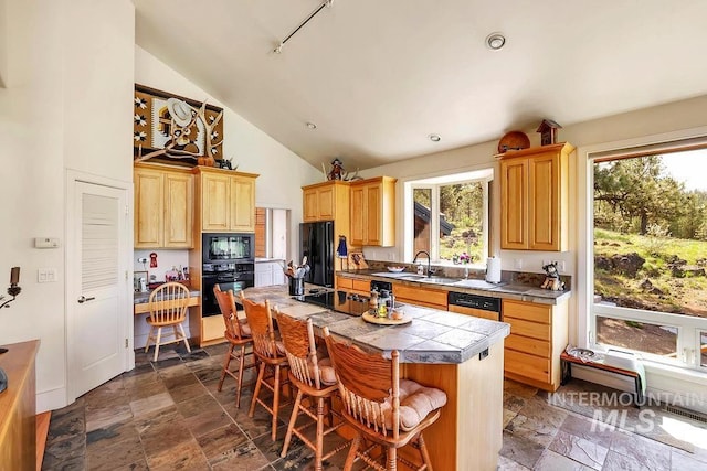 2510 Price Valley Rd, New Meadows, ID 83654 - kitchen with black appliances, dark stone finish floors, plenty of natural light, and high vaulted ceiling