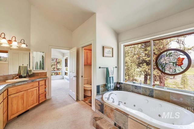 2510 Price Valley Rd, New Meadows, ID 83654 - bathroom with vanity, plenty of natural light, a tub with jets, toilet, and high vaulted ceiling