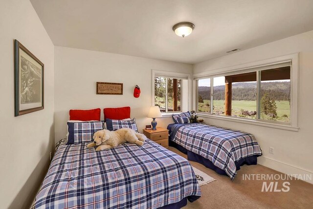 2510 Price Valley Rd, New Meadows, ID 83654 - bedroom featuring carpet and baseboards