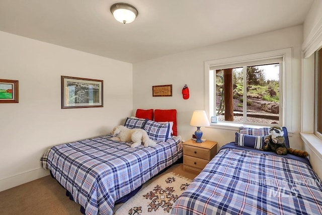 2510 Price Valley Rd, New Meadows, ID 83654 - view of carpeted bedroom