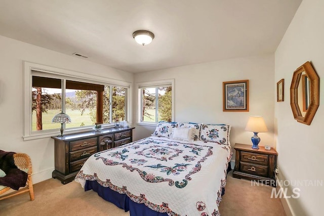 2510 Price Valley Rd, New Meadows, ID 83654 - bedroom featuring light colored carpet and baseboards