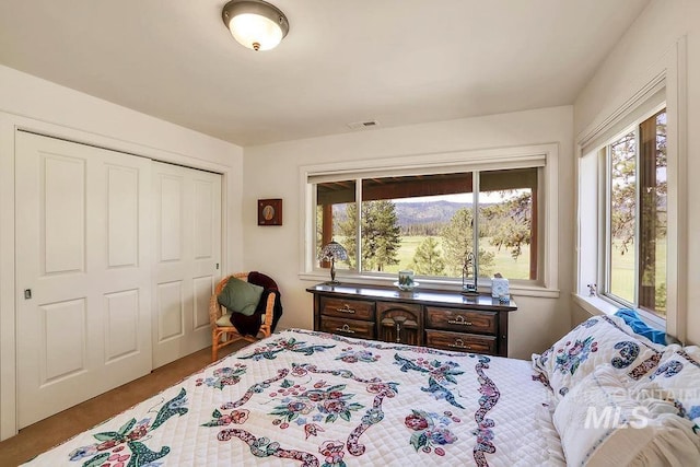 2510 Price Valley Rd, New Meadows, ID 83654 - bedroom with a closet
