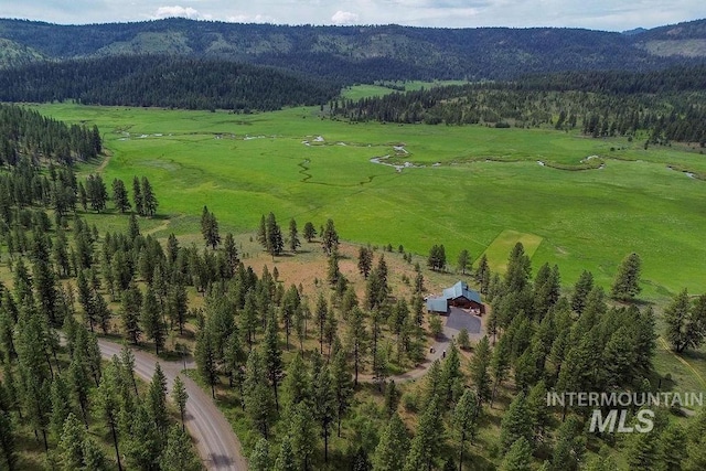 2510 Price Valley Rd, New Meadows, ID 83654 - bird's eye view of mountains and a forest
