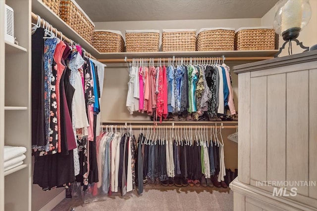 spacious closet with carpet floors