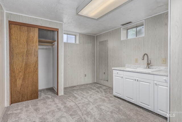 1040 N Pennsylvania Ave, Fruitland, ID 83619 - below grade area featuring a sink, light colored carpet, and a textured ceiling