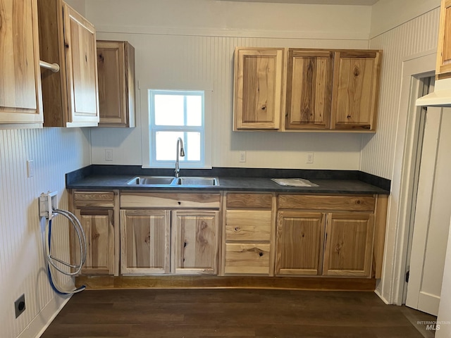 195 SE 2nd St, Ontario, OR 97914 - kitchen with sink and dark wood-type flooring