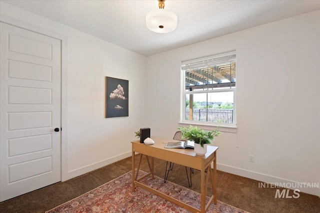 3671 S Pheasant Tail Way, Boise, ID 83716 - home office featuring carpet and baseboards