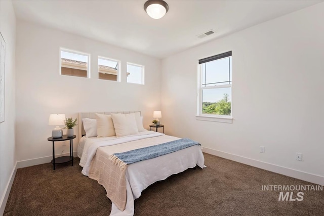 3671 S Pheasant Tail Way, Boise, ID 83716 - carpeted bedroom featuring multiple windows and baseboards