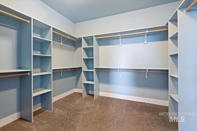 3671 S Pheasant Tail Way, Boise, ID 83716 - walk in closet featuring dark colored carpet