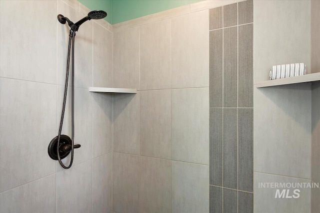 3671 S Pheasant Tail Way, Boise, ID 83716 - bathroom view of tiled shower