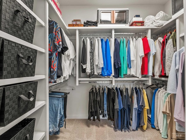 10366 Loneleaf Dr, Nampa, ID 83687 - walk in closet with carpet floors