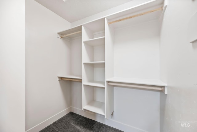 202 Broken Pne, Mccall, ID 83638 - spacious closet with carpet flooring