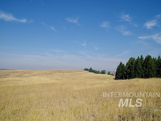 TBD Ditch Creek Rd, Council ID, 83612 land for sale