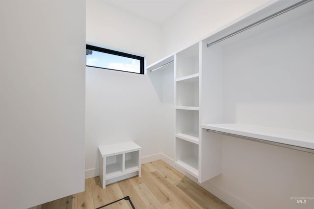 spacious closet featuring light hardwood / wood-style floors