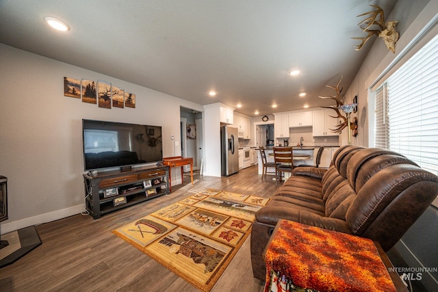 living room featuring wood-type flooring and sink