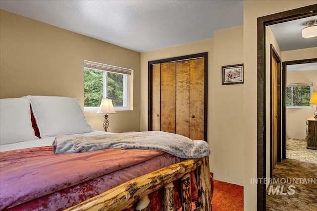 108 Panorama Dr, Cascade, ID 83611 - bedroom with carpet and a closet