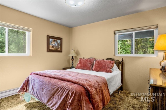 108 Panorama Dr, Cascade, ID 83611 - bedroom featuring a baseboard radiator and carpet