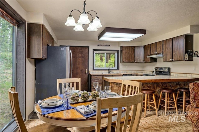108 Panorama Dr, Cascade, ID 83611 - kitchen featuring appliances with stainless steel finishes, dark brown cabinetry, a peninsula, light countertops, and a sink